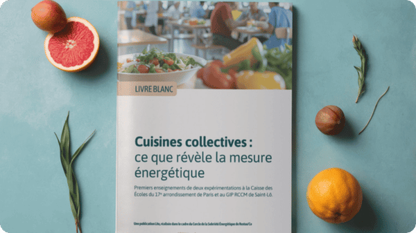 Livre blanc cuisines collectives Livre blanc cuisines collectives